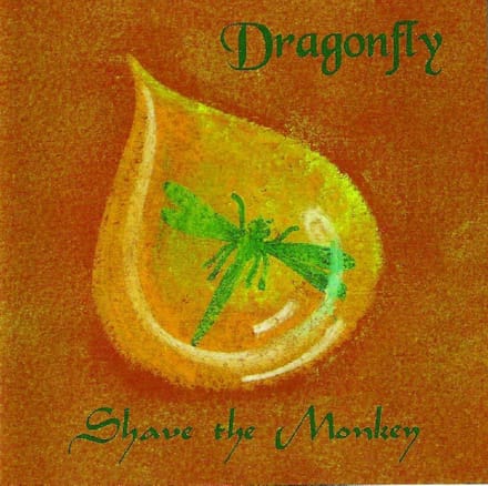 Dragonfly