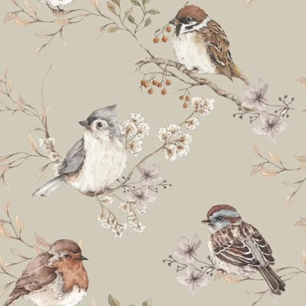 Baby behang Dekornik Birds Green