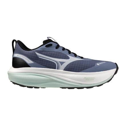 Hardloopschoenen dames Mizuno Wave Rider Gtx 4