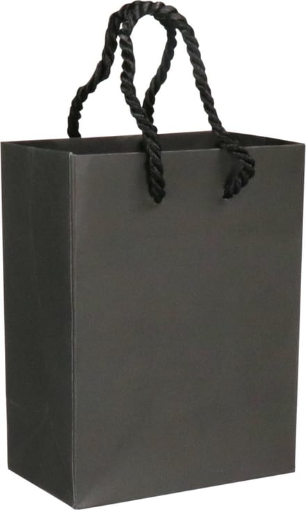 Luxe tas koord 11x6.5x14.5cm 100 stuks