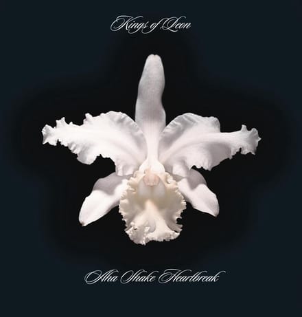 Aha Shake Heartbreak - Kings Of Leon