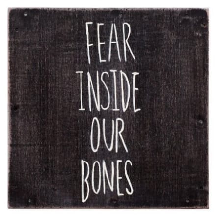 The Almost - Fear Inside Our Bones (CD)