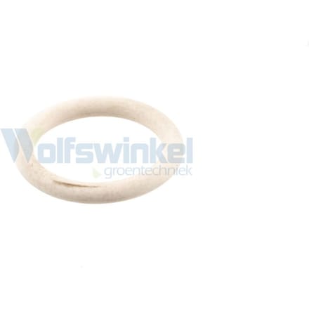 O-ring