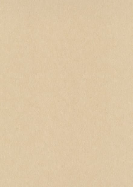 Erismann Vinylbehang 10281-30 - Versailles - Modern Goud - 53cm x 10.05m