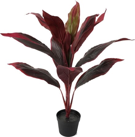 HomeBound by KY | Kunstplant rode cycas 70cm | kunstplant