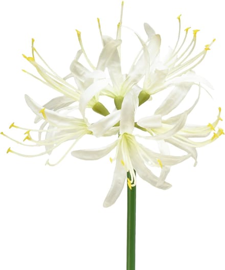 Nerine Guernsey Lelie Kunstbloem Wit Geel Ø15cm L65cm
