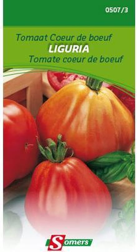 Somers zaden - Tomaat Coeur de boeuf Liguria