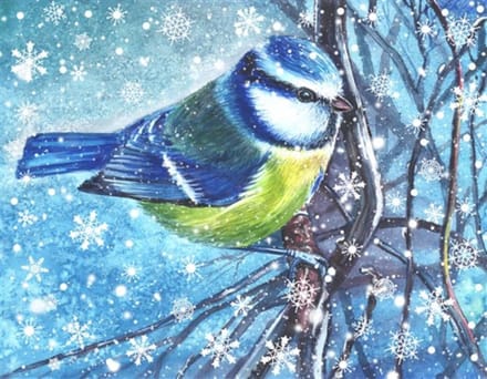 Crystal Card Kit | Diamond painting Festive Bird