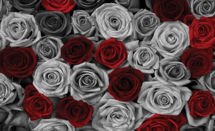 Poster | Grijs , Rood | 104 x 70,5 cm