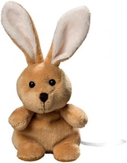 Pluche paashaas knuffel met beschrijfbaar labeltje 19 cm