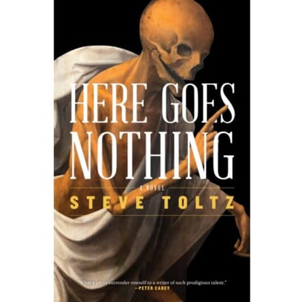 Here Goes Nothing - Steve Toltz
