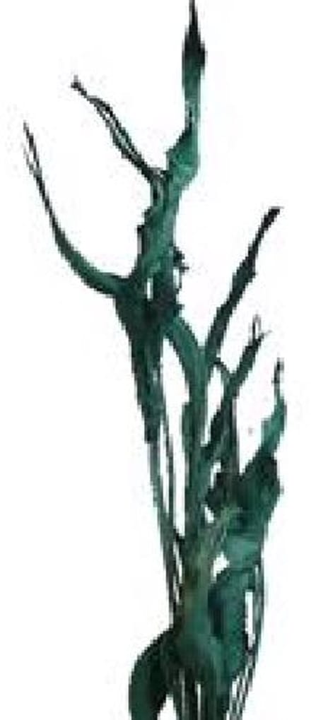 20x Dc strel.blad groen 80cm