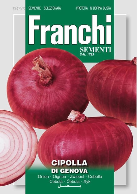 Franchi - Ui, Cipolla di genova 42/5