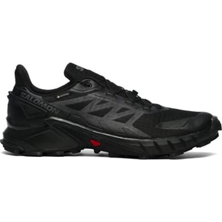 Wandelschoenen Salomon Supercross 4 Gtx