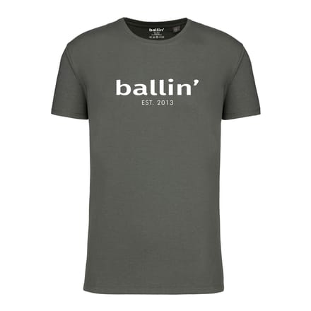 Ballin Est. 2013 - Heren Tee SS Regular Fit Shirt - Groen - Maat M