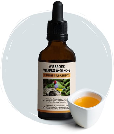 Wisbroek VitaPro A-D3-E-C (50 ml)