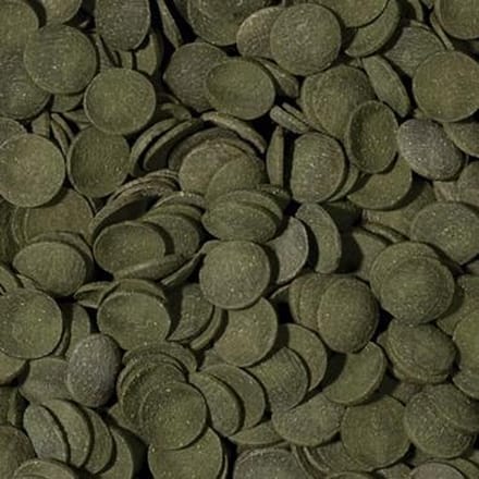 Onlineaquarium spullen Algen wafels