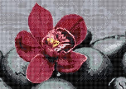 Wizardi Diamond Painting Kit Royal Orchid WD036