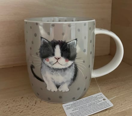 Alex Clark Mok Poesje ~ Kitten