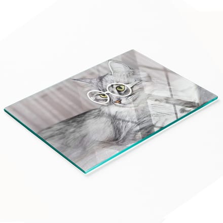 Multifunctioneel decoratief glazen keukenbord met kat en bril, 80x52 cm