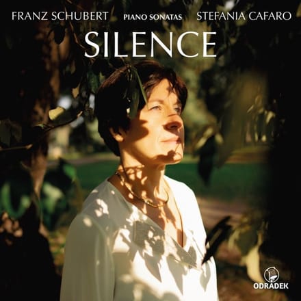 Stefania Cafaro: Silence