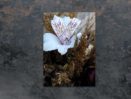 TMK ArtDeko - Orchidee Snijplank - Glas - 35x52 cm