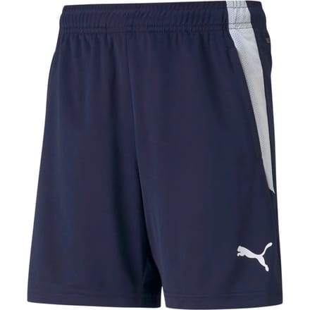 Kinder shorts Puma Team Liga Training