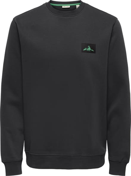 ONLY&SONS - ONSMATTHIJS REG SWEAT CREW CS - Heren - Sweaters