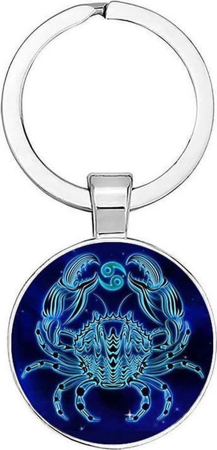 Akyol - kreeft Sleutelhanger - Kreeft - degene met kreeft als sterrenbeeld - kreeft - sterrenbeeld - horoscoop - 2,5 x 2,5 CM