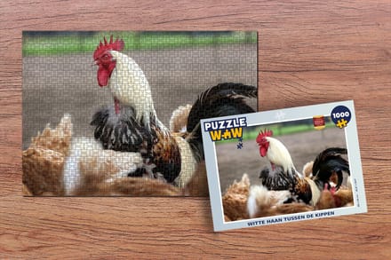 Puzzel Witte haan tussen de kippen - Legpuzzel - Puzzel 1000 stukjes volwassenen