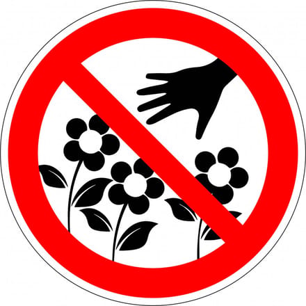 Verboden bloemen te plukken sticker 300 mm