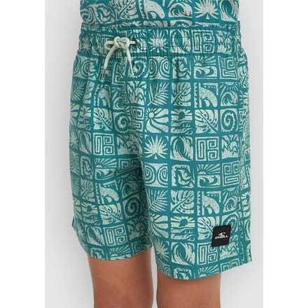 O'Neill Print Kids Boardshorts blauw
