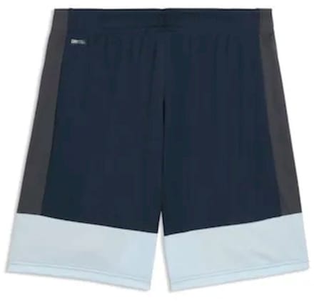 PUMA - individualliga training shorts - Voetbalbroek heren - Blauw