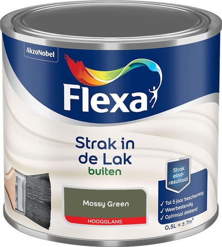 Flexa - Strak In De Lak Buitenlak Hoogglans - Mossy Green - Mengverf - 500 Ml