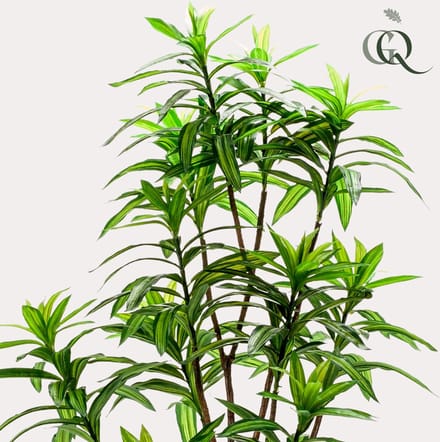 Kunstplant - Dracaena - Drakenboom - 130 cm