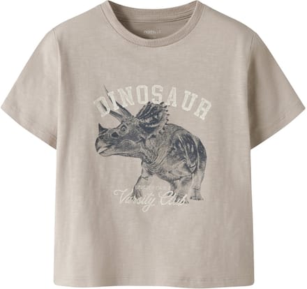 NAME IT - NMMFEATH SS NREG TOP BOX - Jongens - T-shirts
