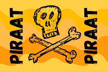 Piraat Vlag - Piratenvlag - 150x100cm - Feest Vlag