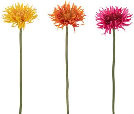 J-Line bloem Gerbera Madeliefje - kunststof - mix - 3 stuks