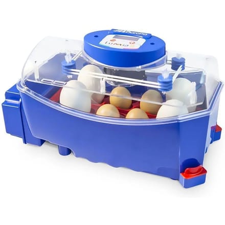Automatische broedmachine met 8 eieren Borotto Lumia
