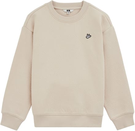 WE Fashion Jongens sweater met structuur en embroidery