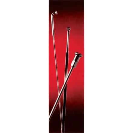 Doos van 100 spaken met zinken nippel Buchel 12 mm