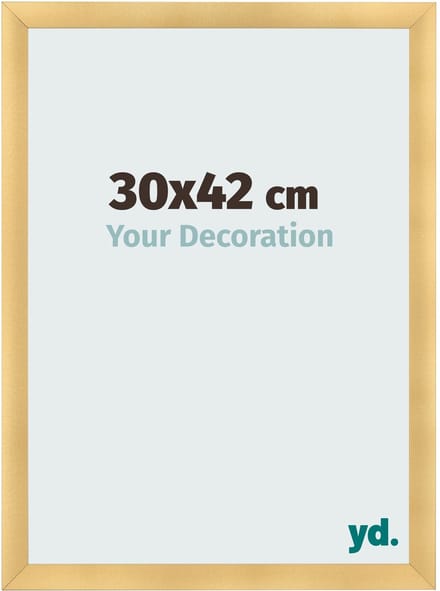 Your Decoration - Fotolijst 30x42 cm - MDF - Goud Mat - Pisa