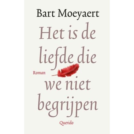 Het Is De Liefde Die We Niet Begrijpen - Bart Moeyaert