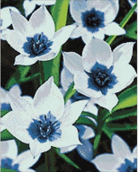 Wizardi Diamond Painting Kit Blue Eye Tulips WD034