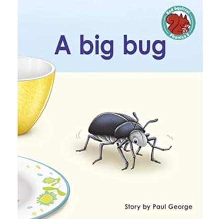 A Big Bug - Red Squirrel Phonics Level 2 - Paul George
