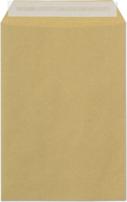 Raadhuis akte envelop - 162x229mm - C5 - kraft - met plakstrip - 500 stuks