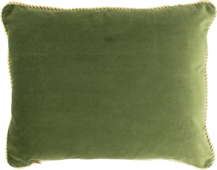 half kussen fluweel goud appel groen 35x45cm
