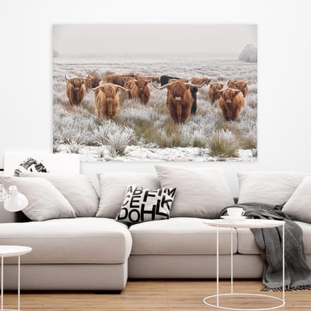Schilderij Woonkamer - Schotse Hooglanders - Highlanders - 75 x 100 cm - PosterGuru