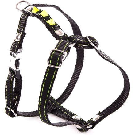 Fluo Harnas voor Hond Martin Sellier