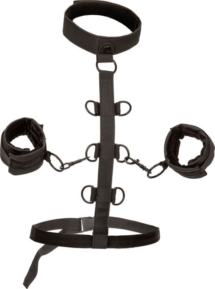 Boundless Collar Restraint
